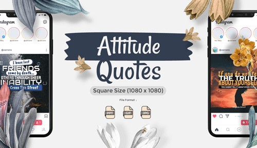 Attitude Video Quotes