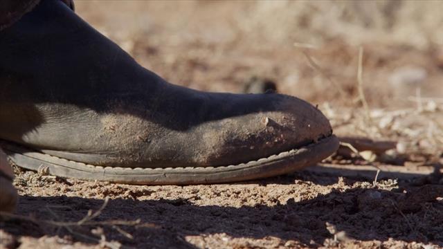 Bullets Drop Near People’s Legs