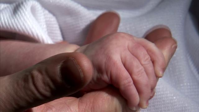 Close Up Shot Of Baby Holding People’s Hand