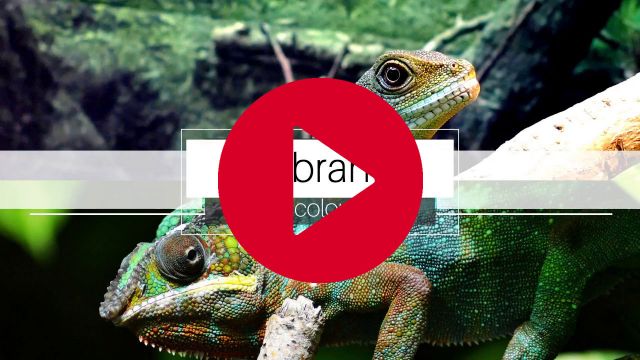 Beautiful World Powerpoint Video Template